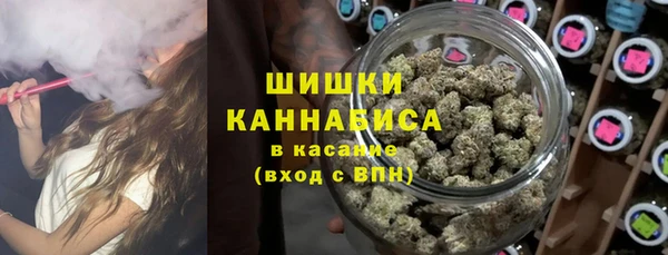 прущие крисы Мегион