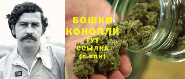 прущие крисы Мегион
