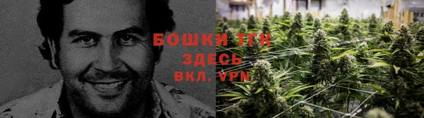МДМА Медвежьегорск