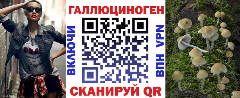 Галлюциногенные грибы Cubensis  Владимир 